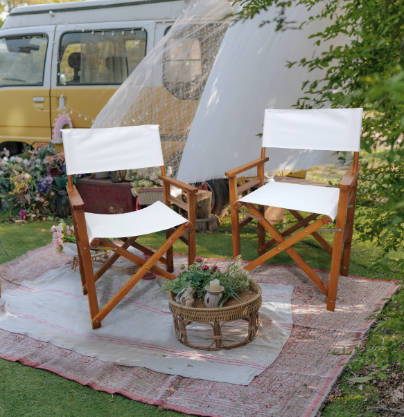 Folding Wooden Chair 2pcs/set populus + Canvas